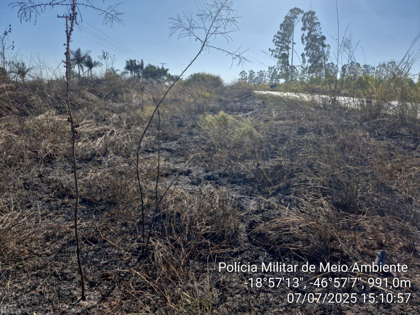 Homem é preso ao ser flagrado ateando fogo em vegetação às margens de rodovia