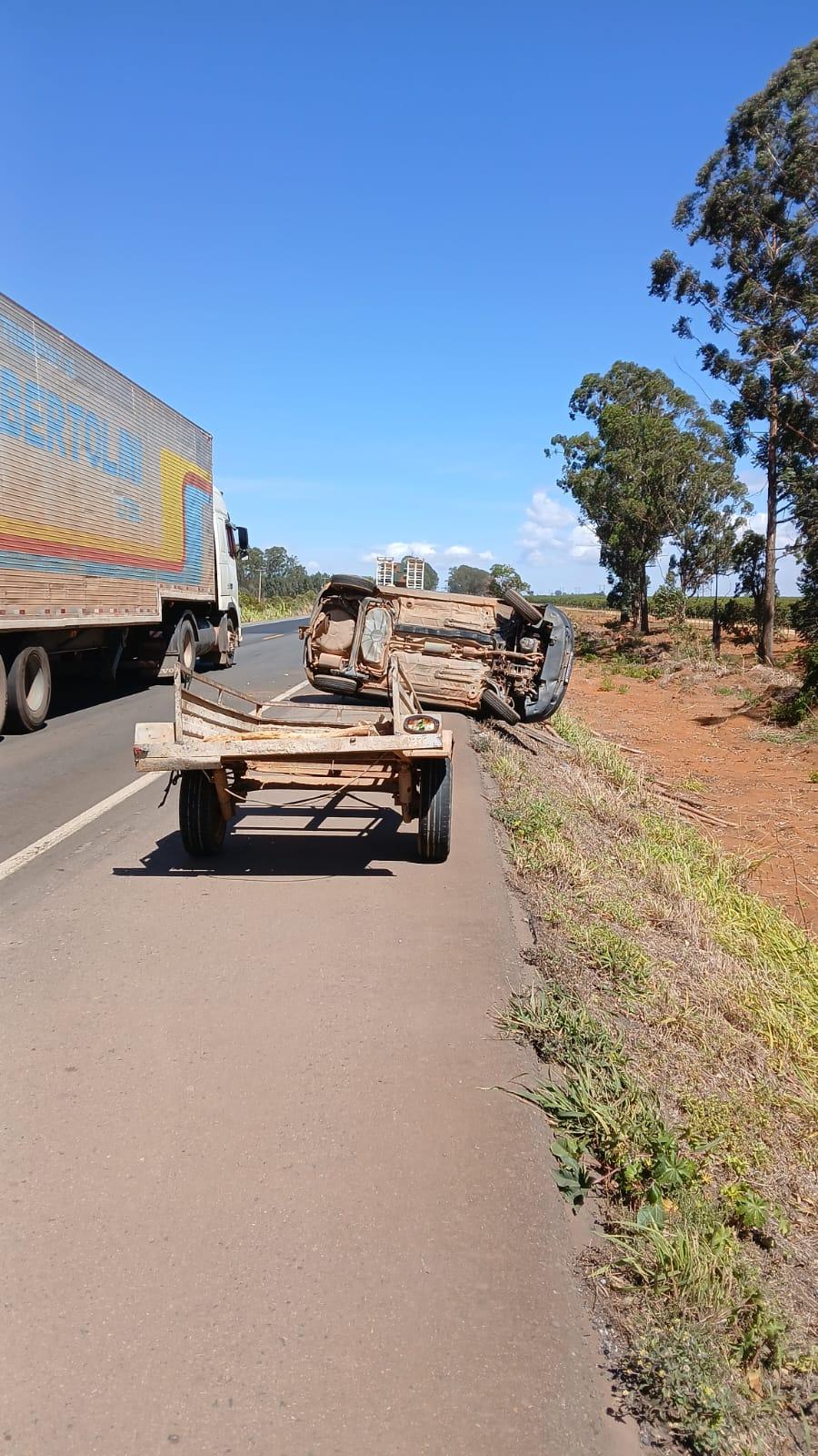 Carro com carretinha carregada de eucaliptos tomba na BR-262