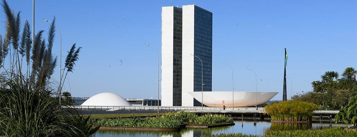 Domingos Sávio e Carlos Viana lideram votação para o Senado em Perdizes